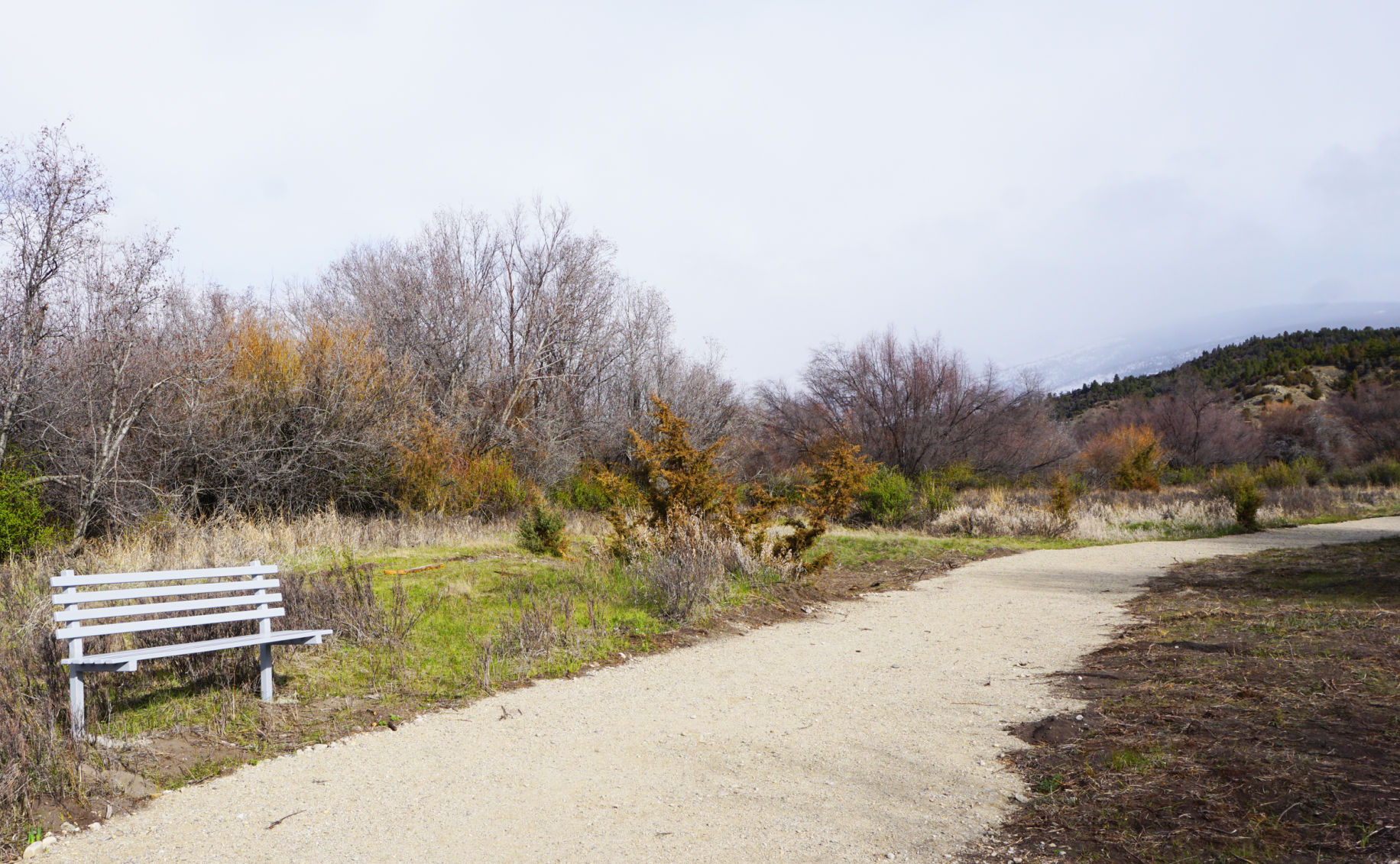 Benches